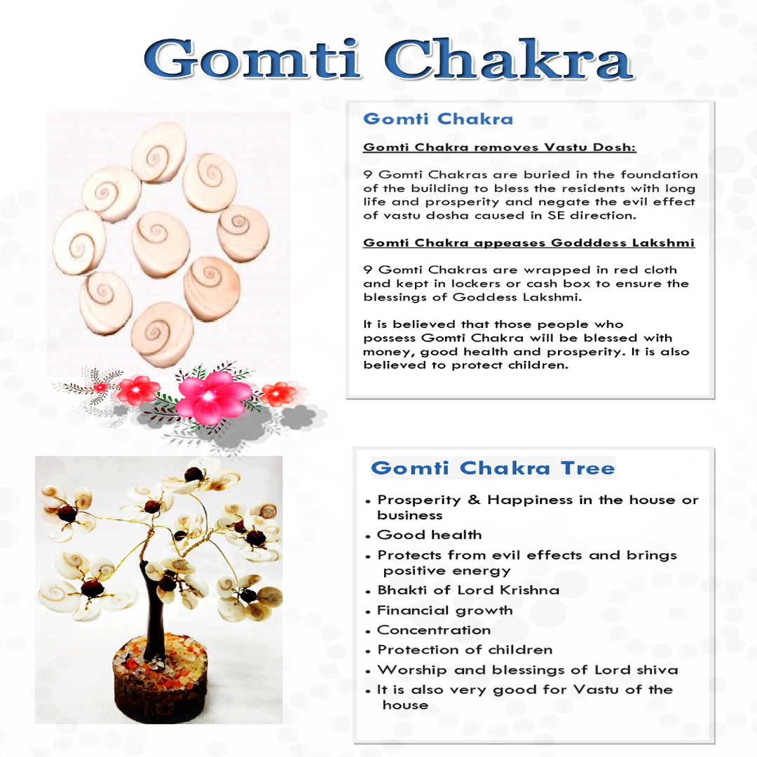 Gomti Chakra Bracelet For Men & Women (1 Pc) – Numeroastro